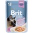 Влажный корм для кошек Brit Premium Cat Gravy кусочки из филе лосося в соусе, 85 гр