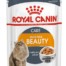 Влажный корм для кошек ROYAL CANIN Intense beauty в желе для поддержания красоты шерсти, 85 гр